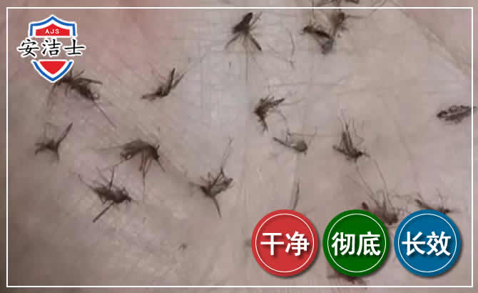 玉环蚊子防治-灭蚊