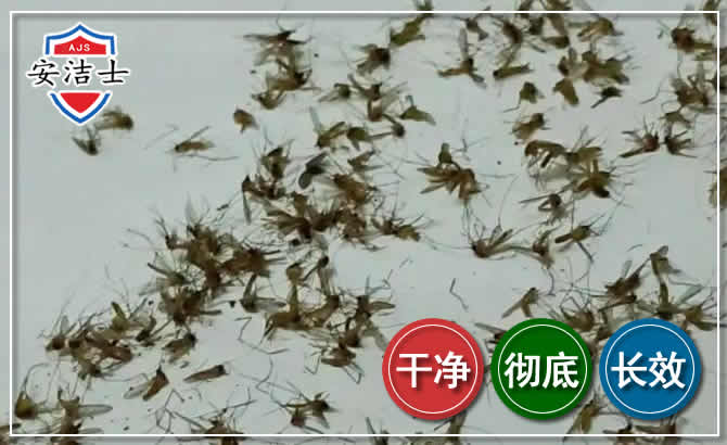 玉环苍蝇防治-灭蝇