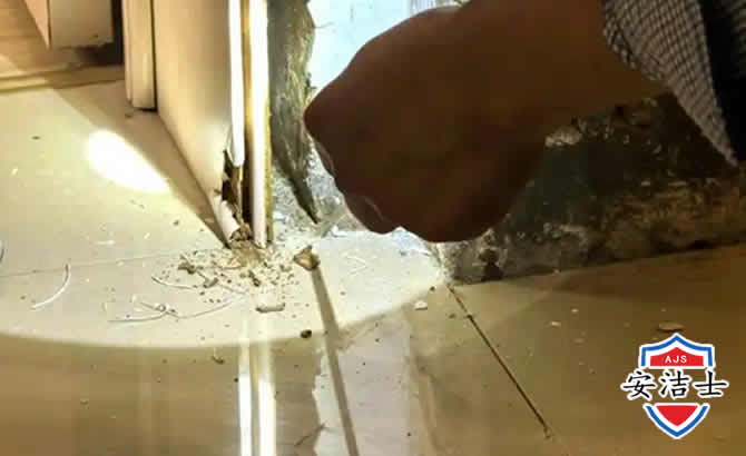 玉环房屋建筑防治白蚁