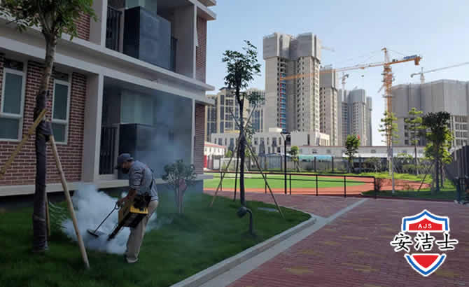 玉环工厂工地除白蚁