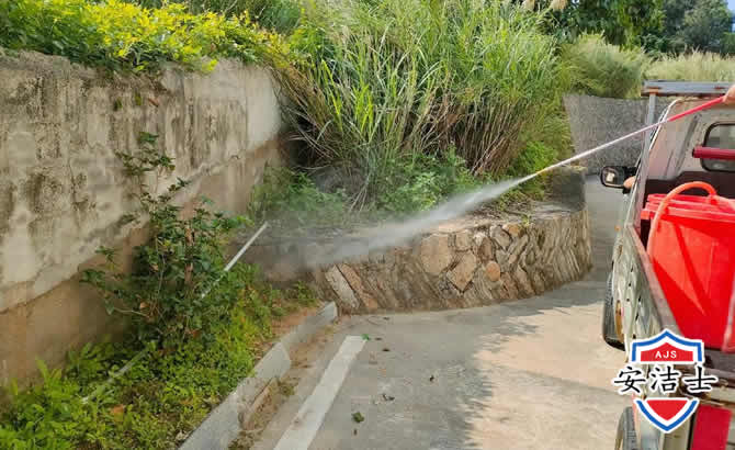 玉环道路堤坝白蚁防治
