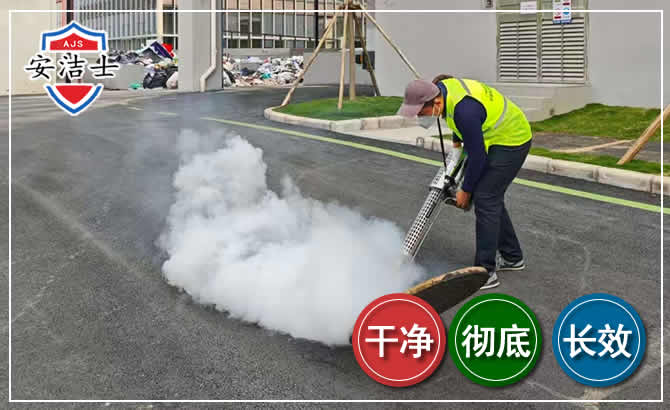 玉环消杀防疫现场