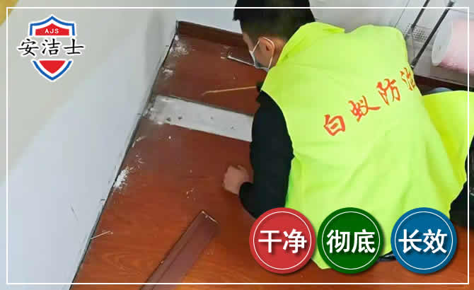 玉环除四害现场