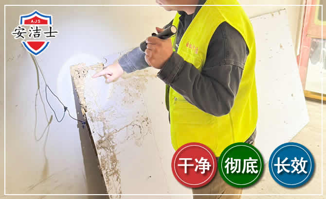 玉环除白蚁现场