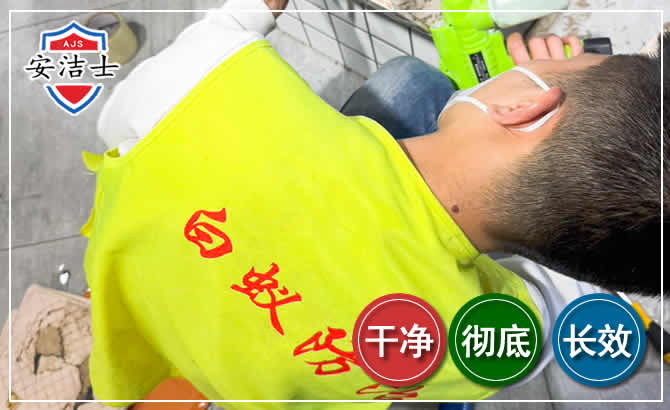 玉环白蚁根治现场